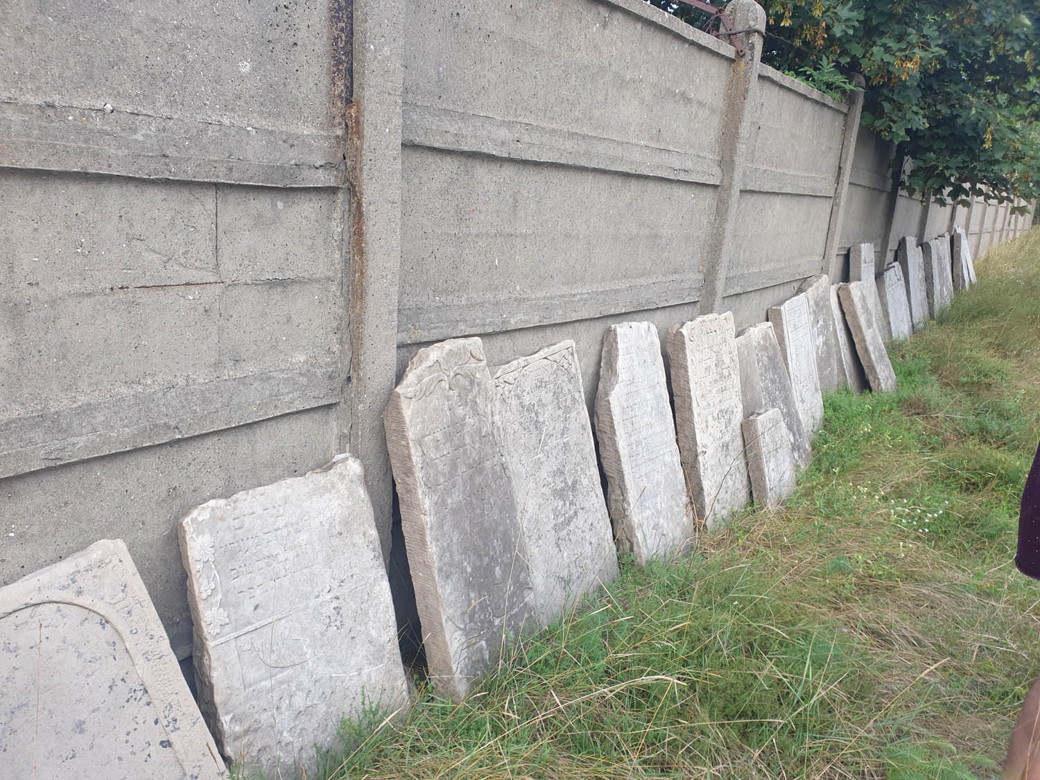 Trip to the former shtetl Widawa (cemetery)
